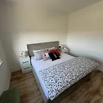 Paradiso